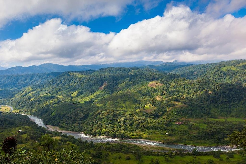 Un bosque talado en Ecuador recupera sus especies 
