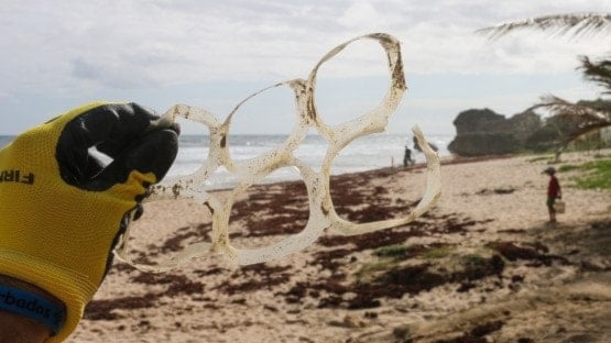 La iniciativa NUTEC Plastics ayuda a los países a investigar los microplásticos que ya están en los mares y utiliza técnicas nucleares para mejorar el reciclaje. Foto: Brian Yurasits/ Ocean Image Bank.