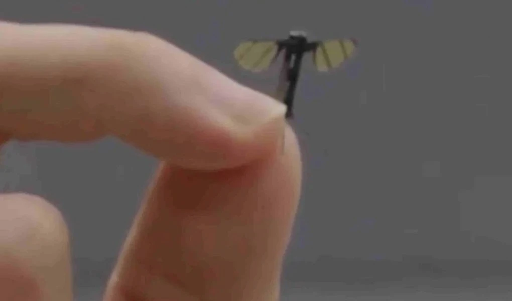 China desarrolla microdron con forma y tamaño de un mosquito. Foto: South China Morning Post.