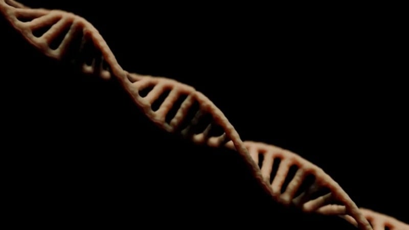 Científicos de China descubren el secreto del “gen de la regeneración”