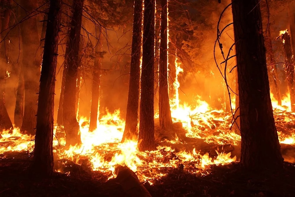 Más de 50 mil evacuados en Turquía por incendios forestales