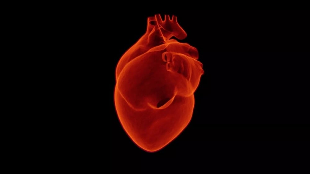 Imprimir un corazón humano está cada vez más cerca . Foto: PXhere. 