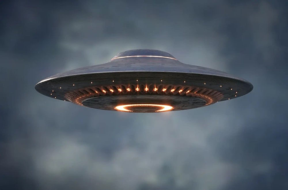 En el primer semestre de 2025 se reportó un avistamiento más que en igual período de 2024. Imagen: Ktsdesign.