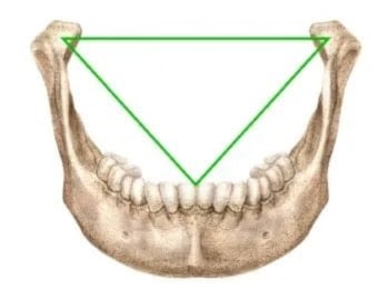 Triángulo de Bonwill. Foto: Journal of Mathematics and the Arts.