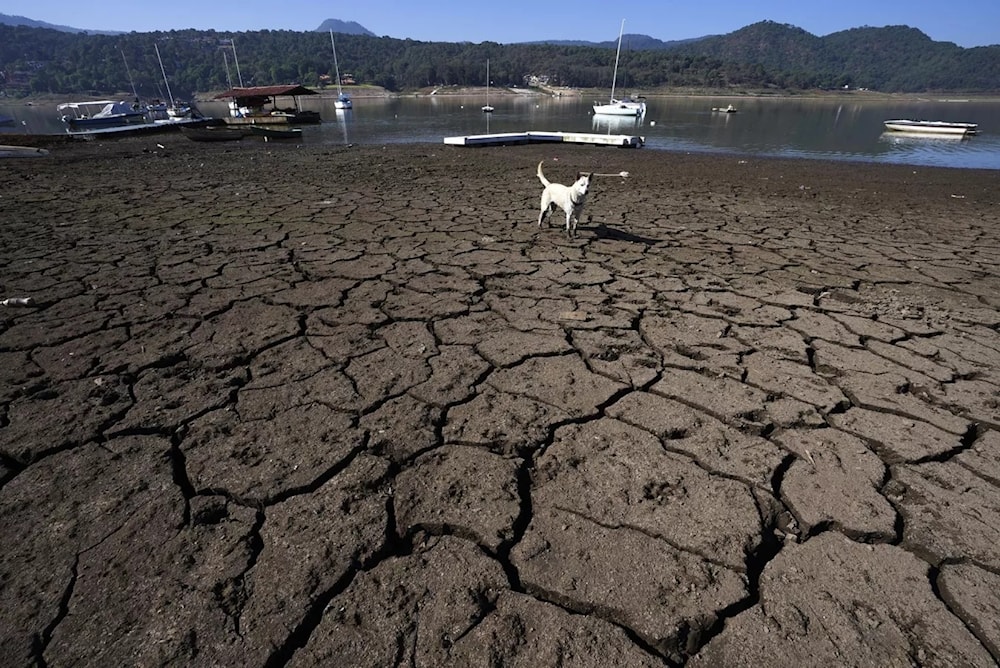 Presa Miguel Alemán, México. Foto: AP: 