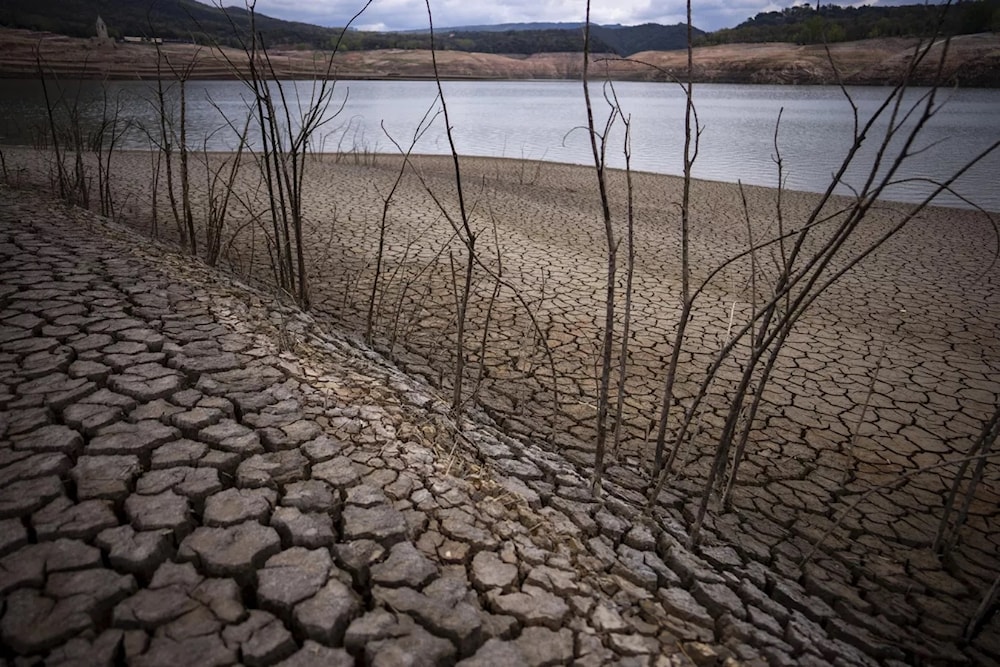 Reserva Sau, Barcelona. Foto: AP. 