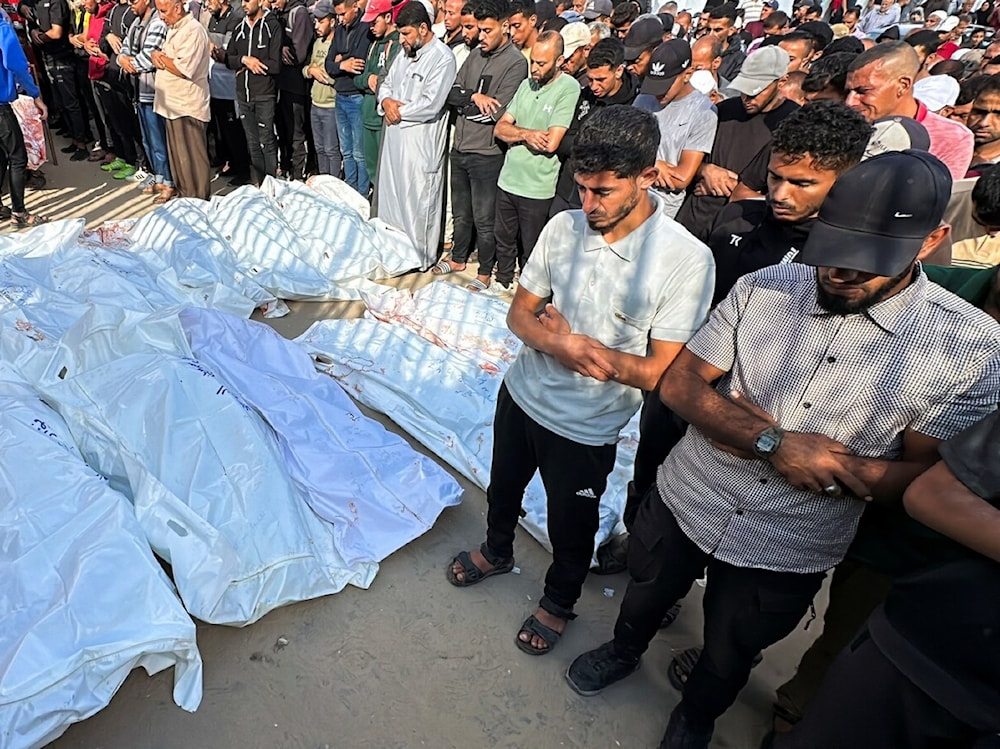 ¿Qué pasó en Gaza  durante la confrontación entre 