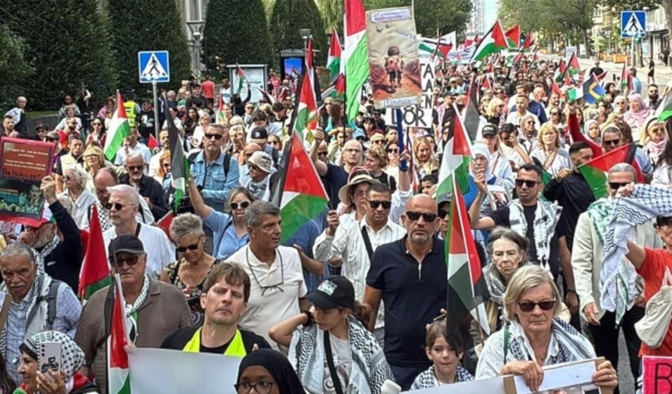 Activistas en Francia marchan en solidaridad con el pueblo palestino en la Franja de Gaza, en medio de la crisis humanitaria y el plan de "Israel" ocupar el enclave.