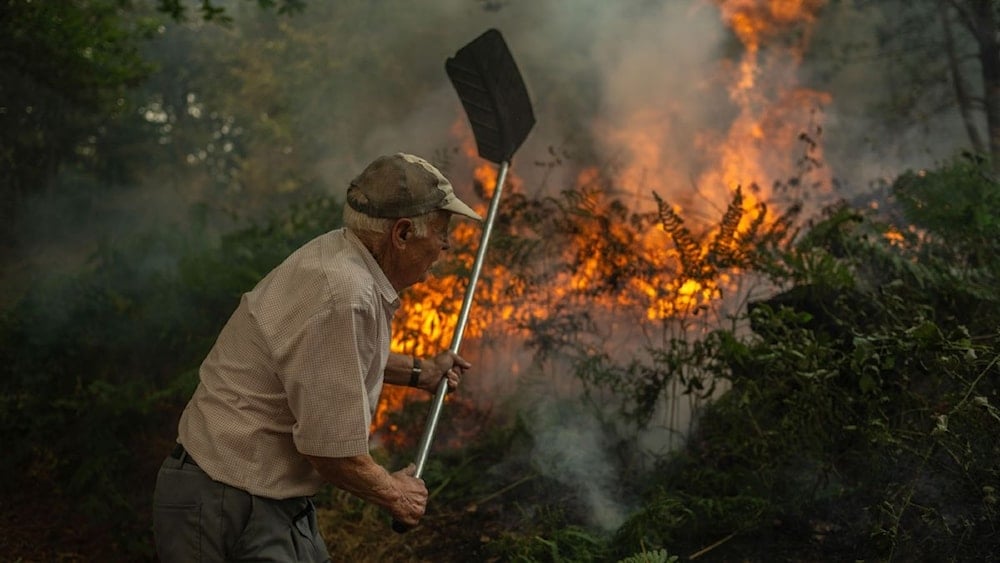 España vive el peor año de incendios forestales en décadas 