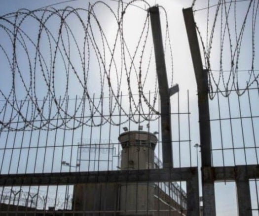 Unos 77 prisioneros palestinos murieron por torturas y negligencias