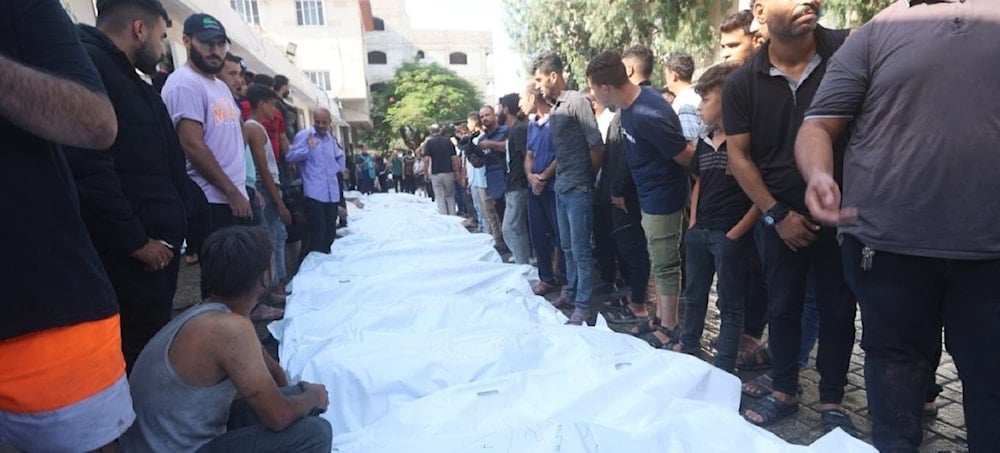 El fallo académico coincide con un escenario devastador: la masacre israelí en Gaza supera los 63 mil mártires palestinos, en su mayoría mujeres y niños,