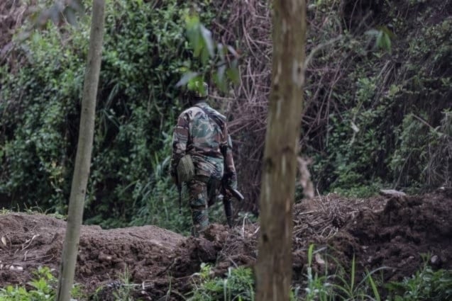 El ejército del Congo y rebeldes apoyados por Ruanda refuerzan posiciones en Kivu y Walikale.