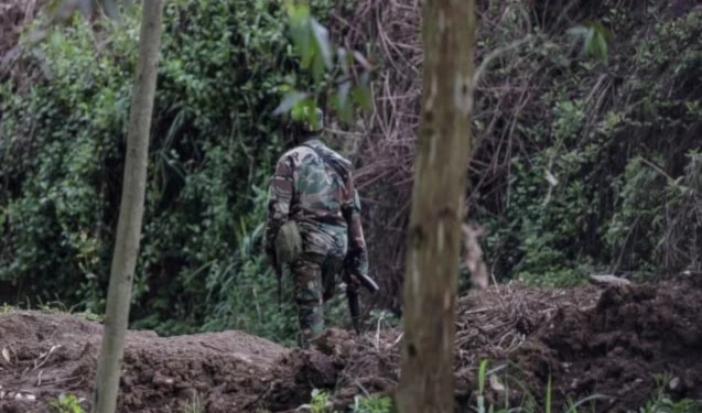 El ejército del Congo y rebeldes apoyados por Ruanda refuerzan posiciones en Kivu y Walikale. El ejército del Congo y rebeldes apoyados por Ruanda refuerzan posiciones en Kivu y Walikale.