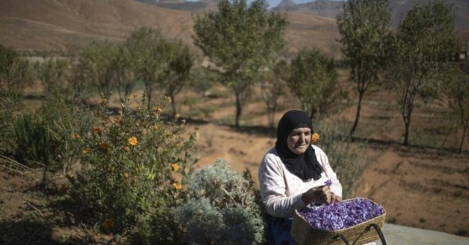 Floricultura en Marruecos: así es la lucha contra la sequía