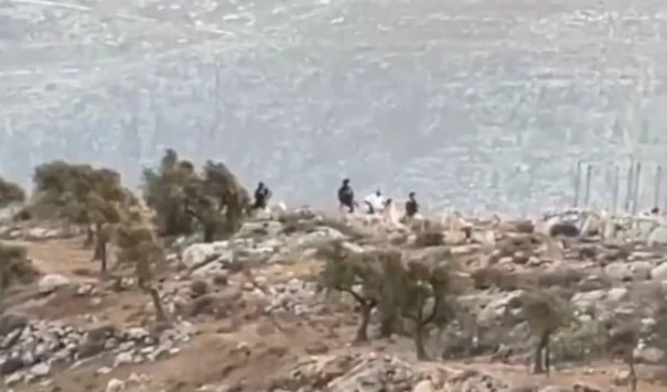 Cisjordania: Un muerto y varios heridos en un ataque de colonos en Ramallah