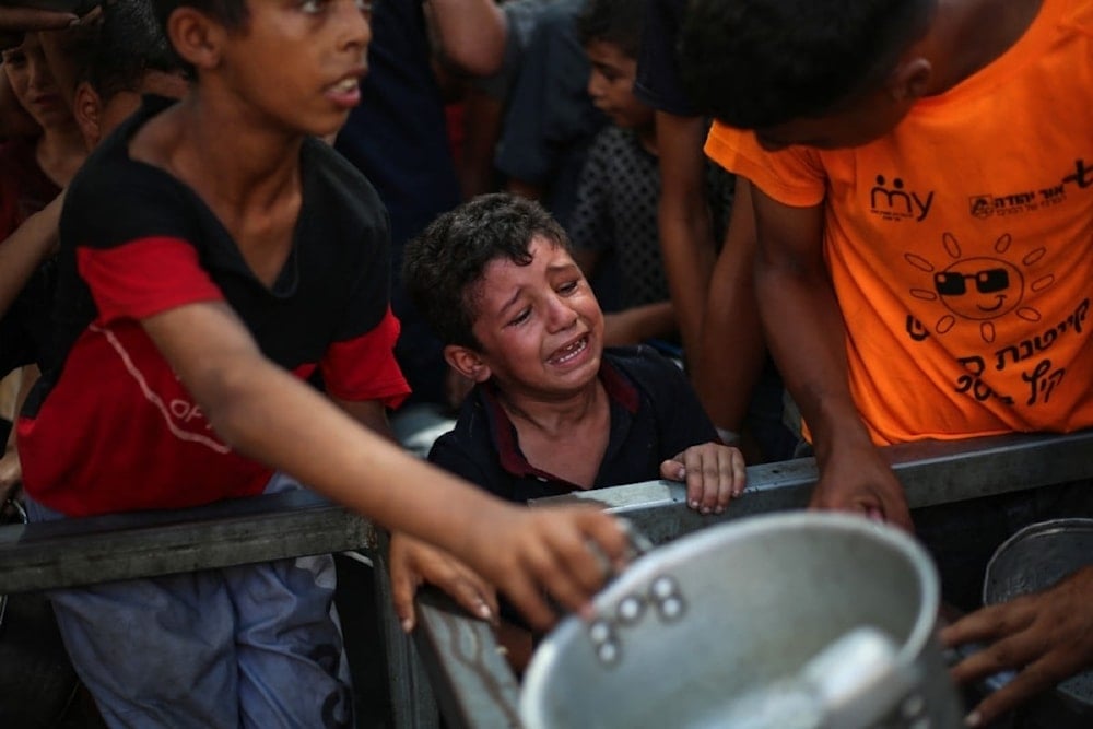 La declaración advierte sobre la grave escasez de alimentos, medicinas y educación en la Franja de Gaza.
