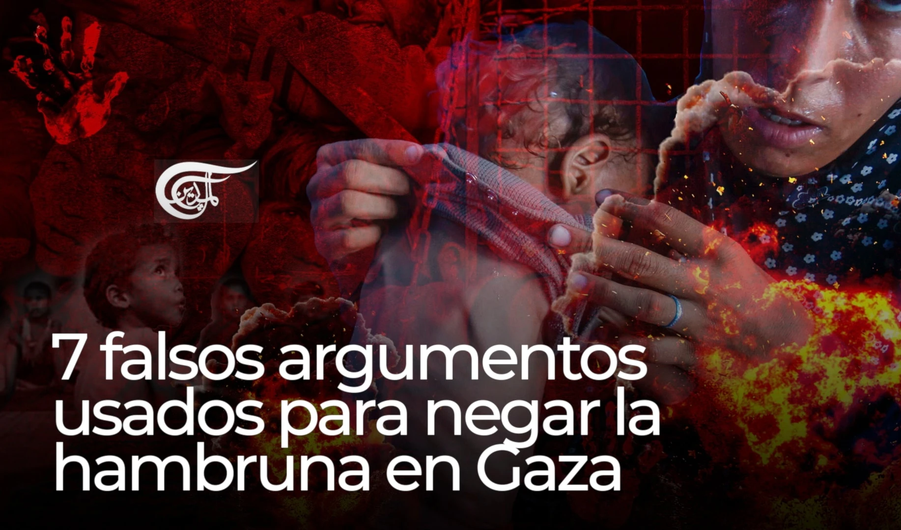 7 falsos argumentos usados para negar la hambruna en Gaza