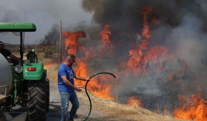 España registró más de 300 mil hectáreas quemadas en agosto