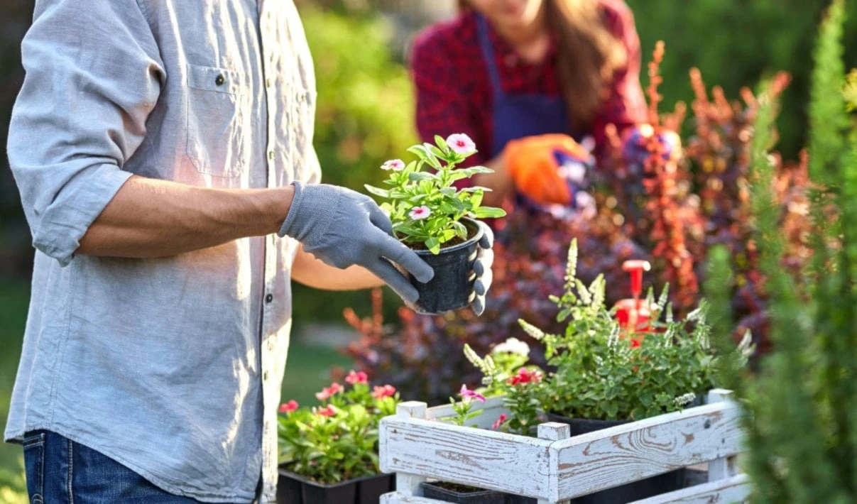 La rutina más fácil para mantenerse activo La rutina más fácil para mantenerse activo